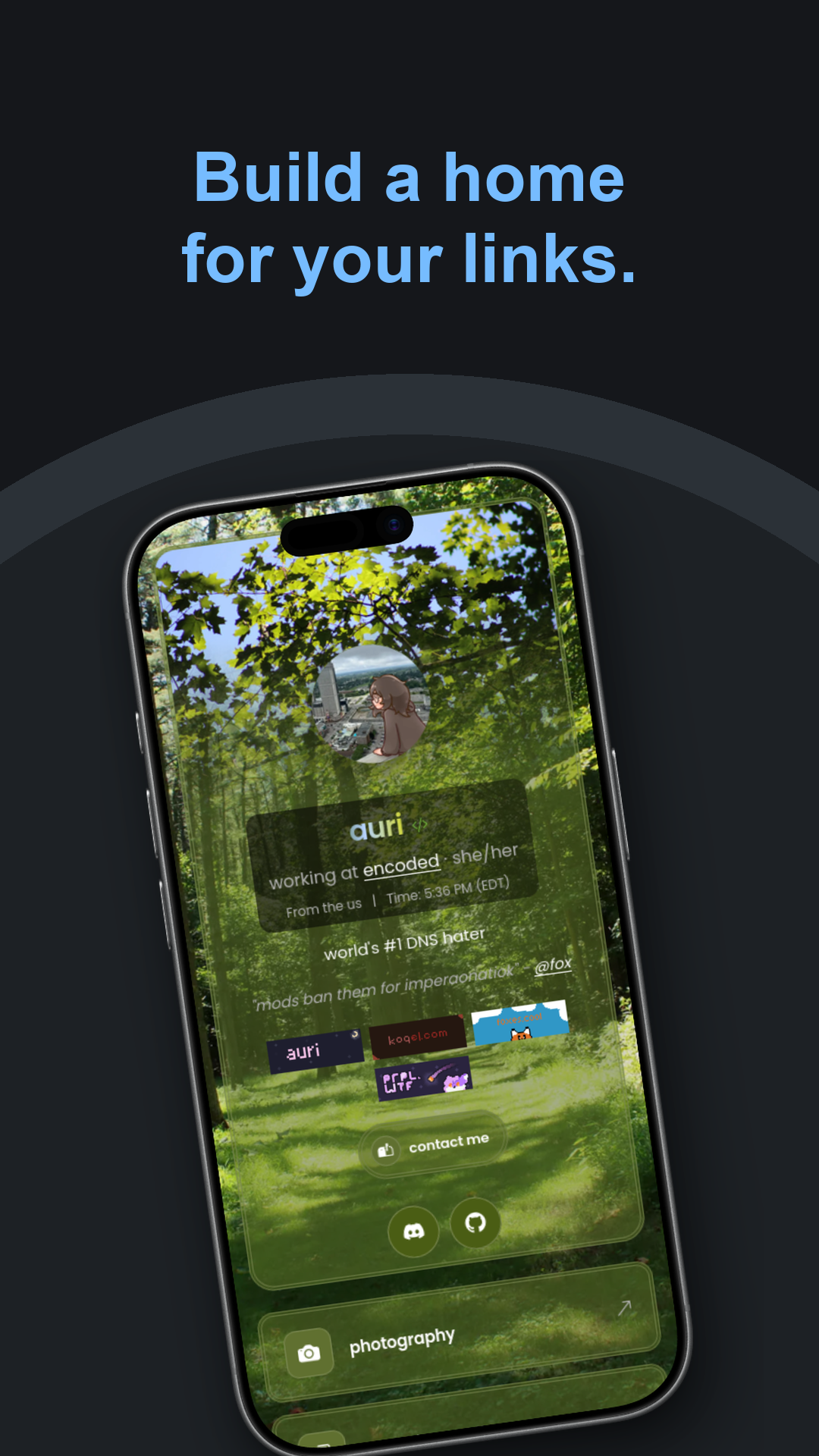 Build a home for your links: a customized few.bio profile with a forest background